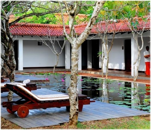 Main View